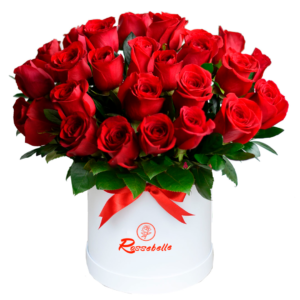Box Rosas